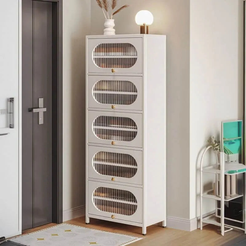 Modern Metal Shoe Storage Cabinet with Acrylic Window Doors