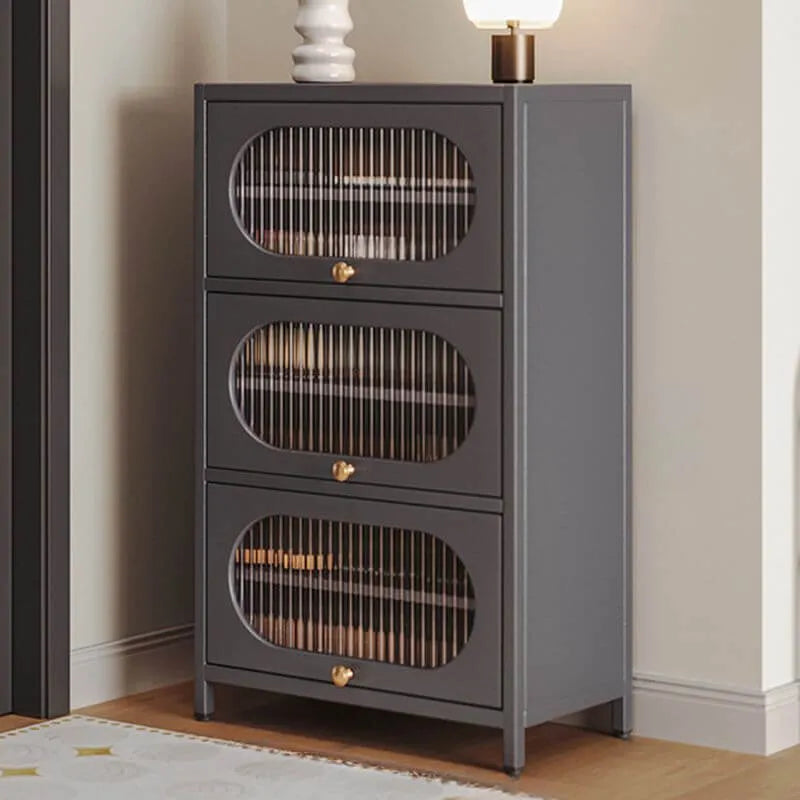 Modern Metal Shoe Storage Cabinet with Acrylic Window Doors