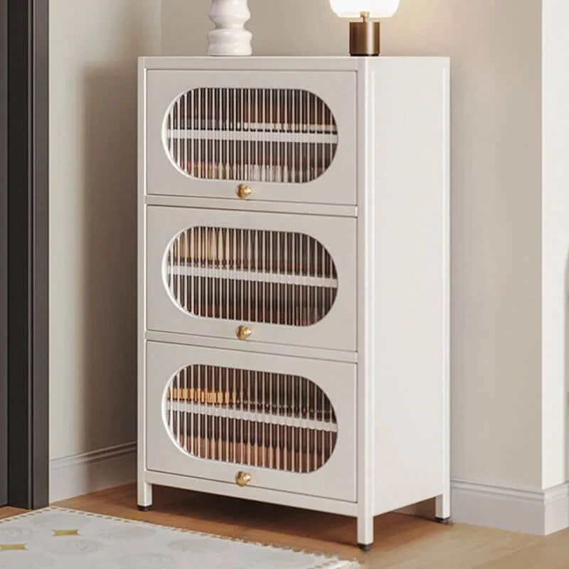 Modern Metal Shoe Storage Cabinet with Acrylic Window Doors