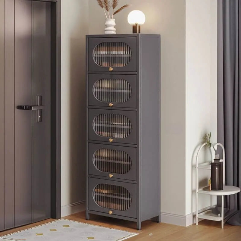 Modern Metal Shoe Storage Cabinet with Acrylic Window Doors