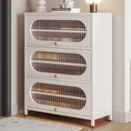 Modern Metal Shoe Storage Cabinet with Acrylic Window Doors