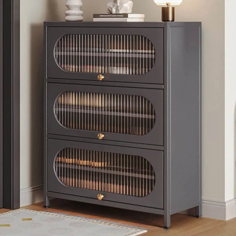Modern Metal Shoe Storage Cabinet with Acrylic Window Doors