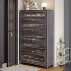 Modern Metal Shoe Storage Cabinet with Acrylic Window Doors