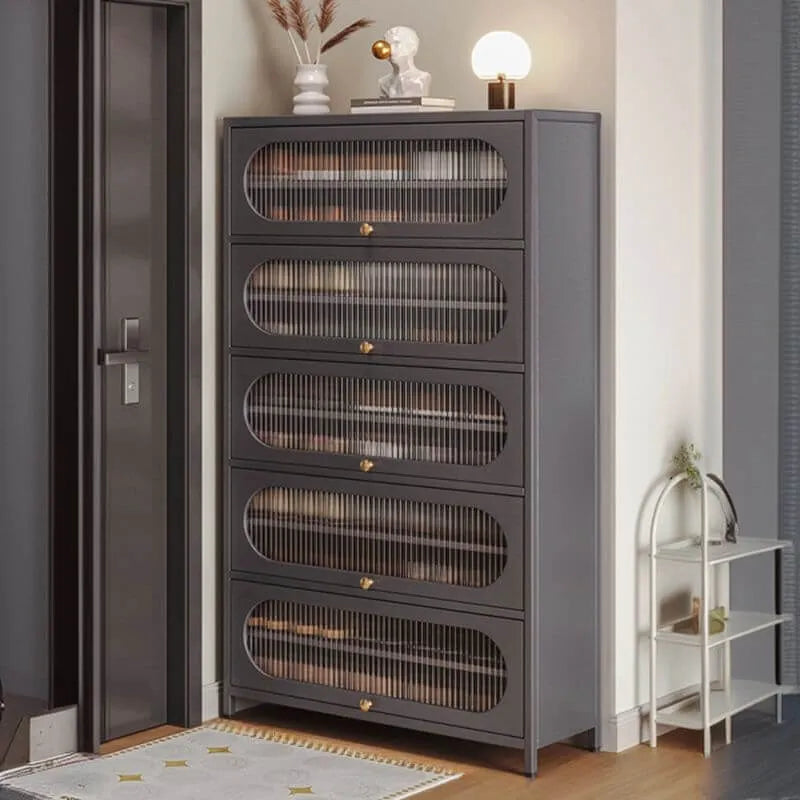 Modern Metal Shoe Storage Cabinet with Acrylic Window Doors