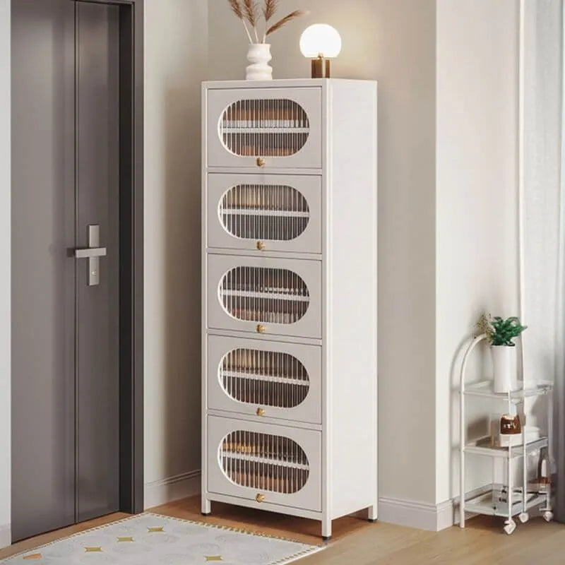Modern Metal Shoe Storage Cabinet with Acrylic Window Doors