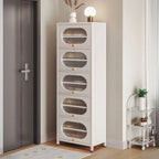 Modern Metal Shoe Storage Cabinet with Acrylic Window Doors