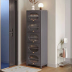 Modern Metal Shoe Storage Cabinet with Acrylic Window Doors