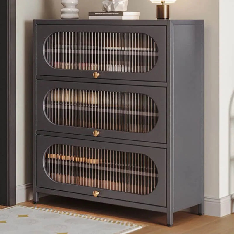 Modern Metal Shoe Storage Cabinet with Acrylic Window Doors