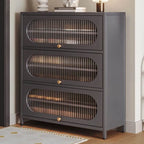 Modern Metal Shoe Storage Cabinet with Acrylic Window Doors