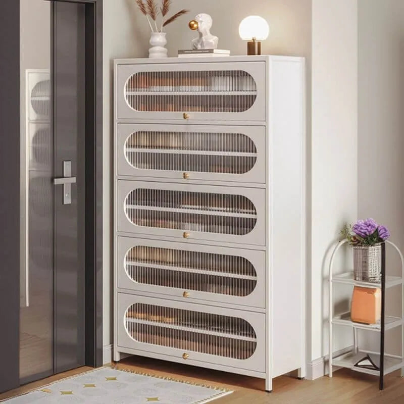 Modern Metal Shoe Storage Cabinet with Acrylic Window Doors