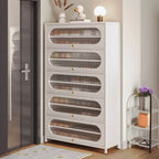 Modern Metal Shoe Storage Cabinet with Acrylic Window Doors