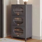 Modern Metal Shoe Storage Cabinet with Acrylic Window Doors