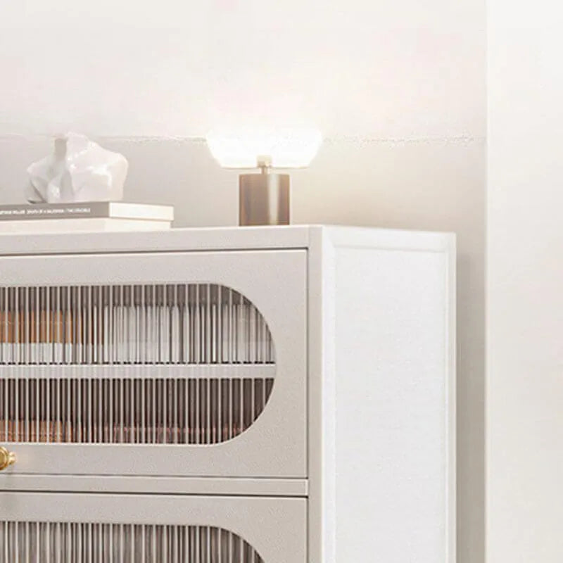 Modern Metal Shoe Storage Cabinet with Acrylic Window Doors
