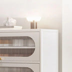 Modern Metal Shoe Storage Cabinet with Acrylic Window Doors