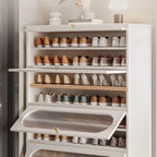 Modern Metal Shoe Storage Cabinet with Acrylic Window Doors