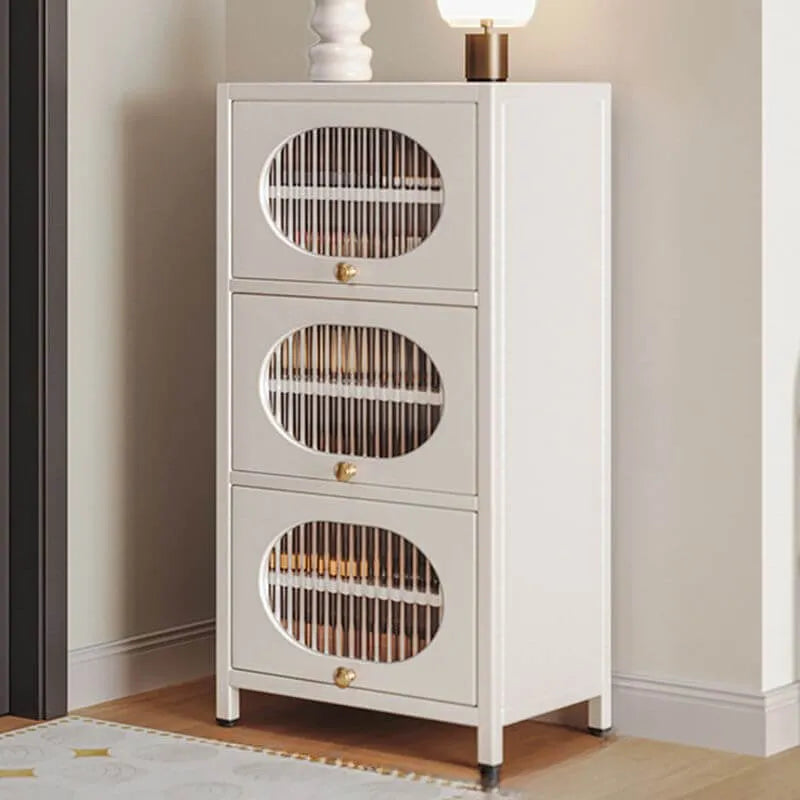 Modern Metal Shoe Storage Cabinet with Acrylic Window Doors