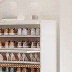 Modern Metal Shoe Storage Cabinet with Acrylic Window Doors