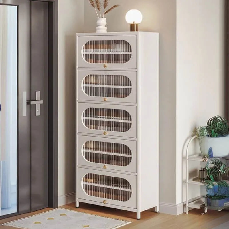 Modern Metal Shoe Storage Cabinet with Acrylic Window Doors