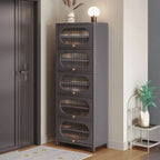 Modern Metal Shoe Storage Cabinet with Acrylic Window Doors