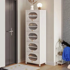 Modern Metal Shoe Storage Cabinet with Acrylic Window Doors