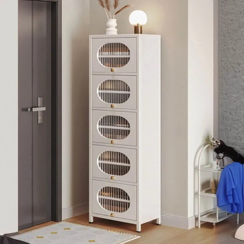 Modern Metal Shoe Storage Cabinet with Acrylic Window Doors