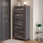 Modern Metal Shoe Storage Cabinet with Acrylic Window Doors