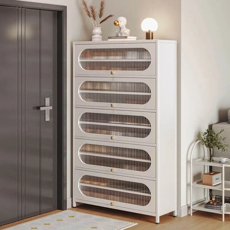 Modern Metal Shoe Storage Cabinet with Acrylic Window Doors Secondary image