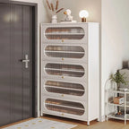Modern Metal Shoe Storage Cabinet with Acrylic Window Doors