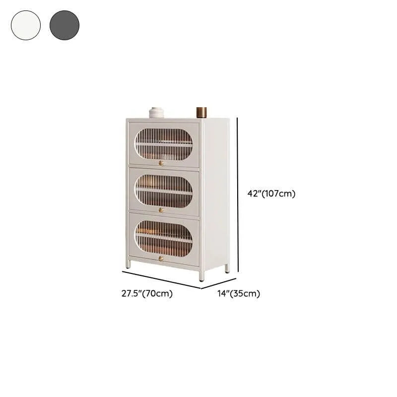 Modern Metal Shoe Storage Cabinet with Acrylic Window Doors Dimensions