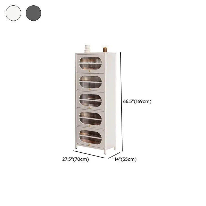 Modern Metal Shoe Storage Cabinet with Acrylic Window Doors Dimensions