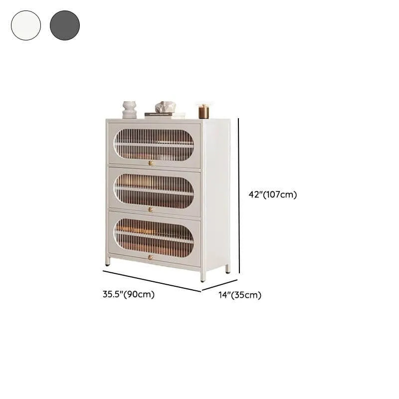 Modern Metal Shoe Storage Cabinet with Acrylic Window Doors Dimensions