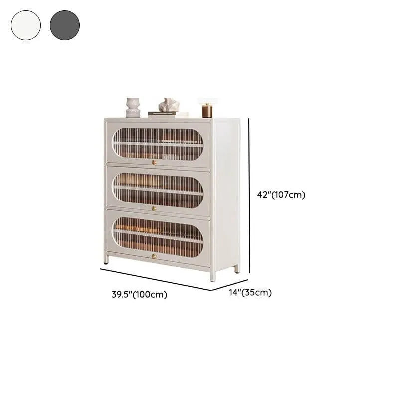 Modern Metal Shoe Storage Cabinet with Acrylic Window Doors Dimensions