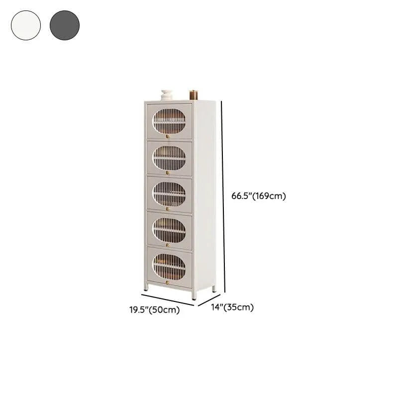 Modern Metal Shoe Storage Cabinet with Acrylic Window Doors Dimensions