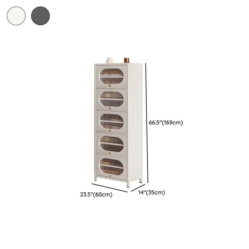 Modern Metal Shoe Storage Cabinet with Acrylic Window Doors Dimensions
