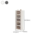 Modern Metal Shoe Storage Cabinet with Acrylic Window Doors Dimensions