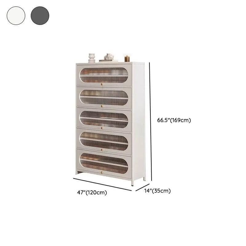 Modern Metal Shoe Storage Cabinet with Acrylic Window Doors Dimensions