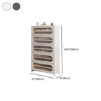 Modern Metal Shoe Storage Cabinet with Acrylic Window Doors Dimensions