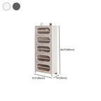 Modern Metal Shoe Storage Cabinet with Acrylic Window Doors Dimensions