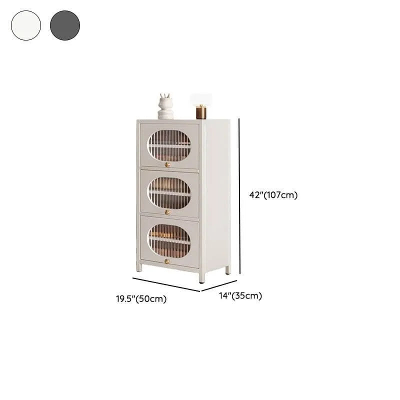 Modern Metal Shoe Storage Cabinet with Acrylic Window Doors Dimensions