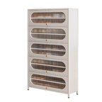 Modern Metal Shoe Storage Cabinet with Acrylic Window Doors Main Product Image