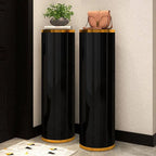 Modern Metal Swivel Shoe Rack with Adjustable Shelves