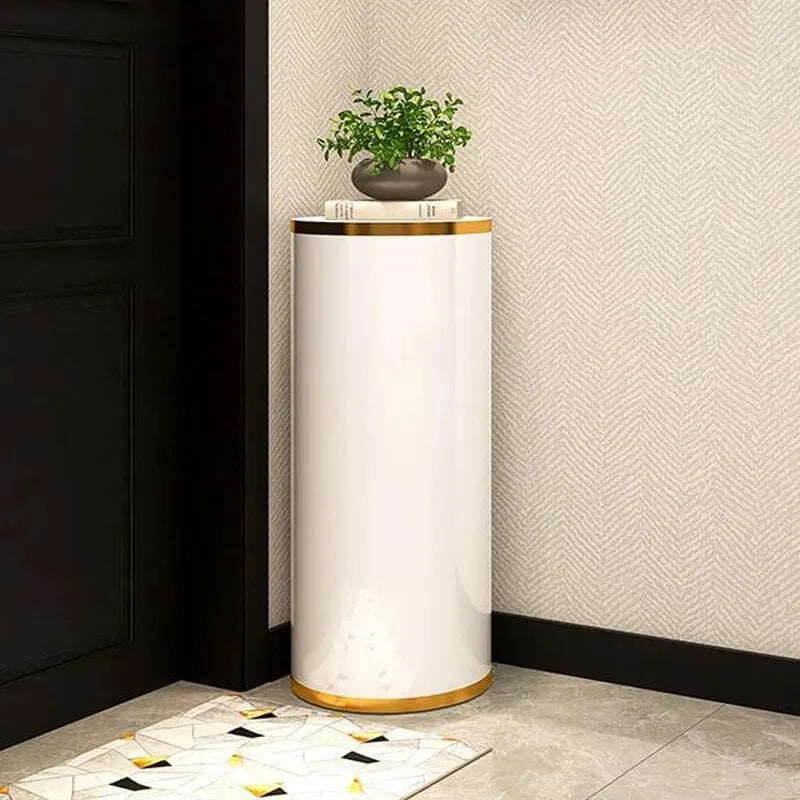Modern Metal Swivel Shoe Rack with Adjustable Shelves