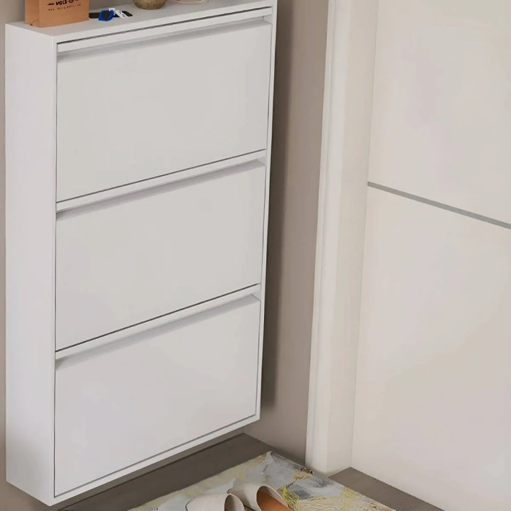 Modern Metal Wall-Mounted Shoe Cabinet with Adjustable Shelves
