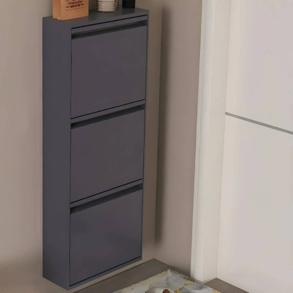 Modern Metal Wall-Mounted Shoe Cabinet with Adjustable Shelves
