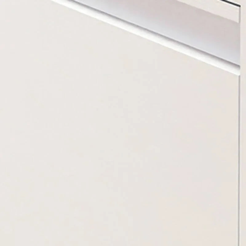 Modern Metal Wall-Mounted Shoe Cabinet with Adjustable Shelves