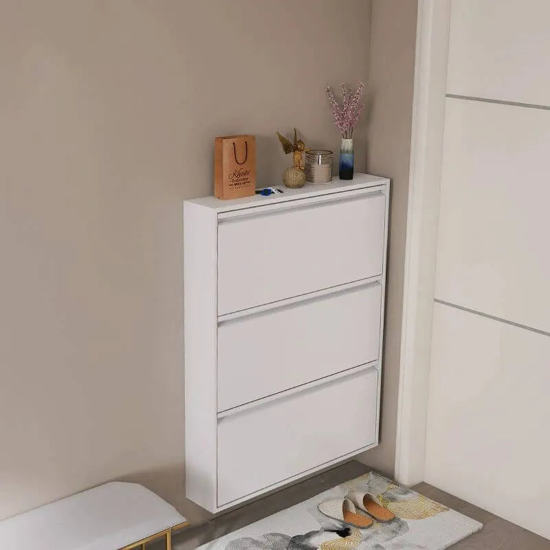 Modern Metal Wall-Mounted Shoe Cabinet with Adjustable Shelves