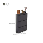 Modern Metal Wall-Mounted Shoe Cabinet with Adjustable Shelves Dimensions
