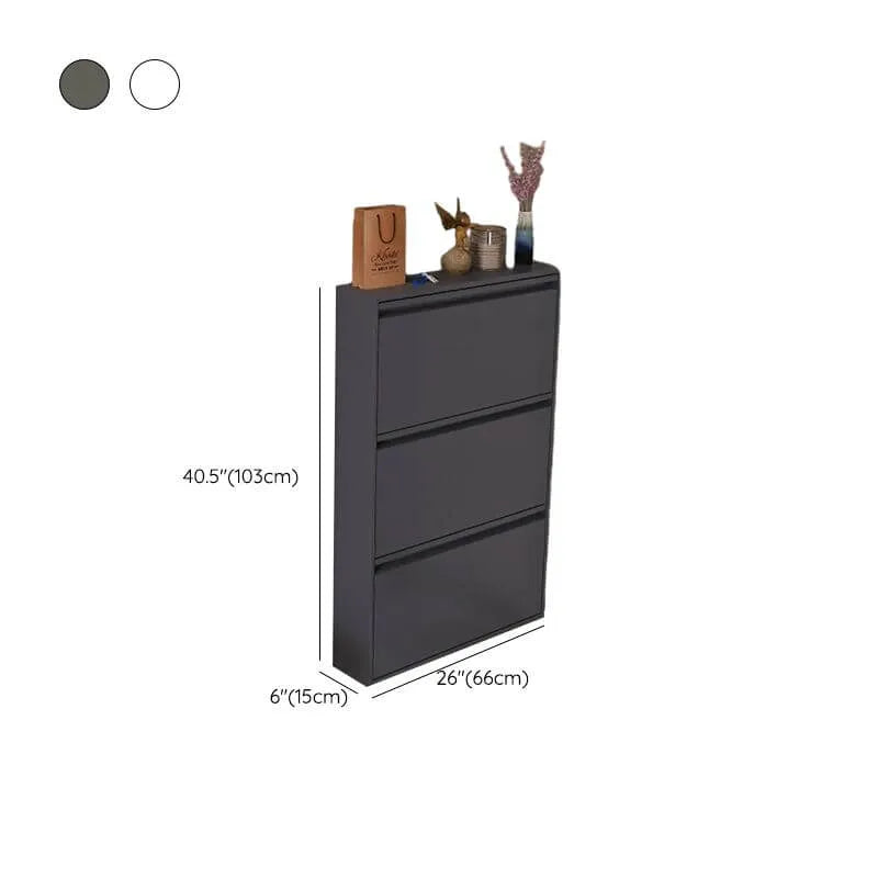 Modern Metal Wall-Mounted Shoe Cabinet with Adjustable Shelves Dimensions