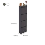 Modern Metal Wall-Mounted Shoe Cabinet with Adjustable Shelves Dimensions