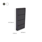 Modern Metal Wall-Mounted Shoe Cabinet with Adjustable Shelves Dimensions
